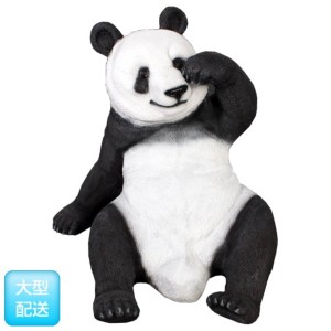 FRP　戯れるパンダ / Slouching Panda (Not in Aus)　  fr110107  『