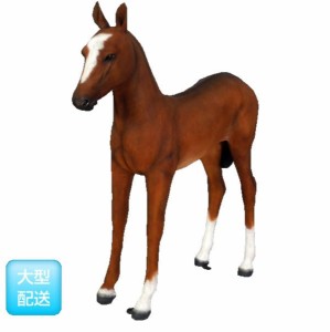 FRP　仔馬 / Foal　  fr120043  『動物園オブジェ　アニマルオブジェ　店舗・イベント向け』 