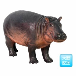 FRP　カバの赤ちゃん / BaBy Hippopotamus　  fr110087  『動物園オブジェ　アニ