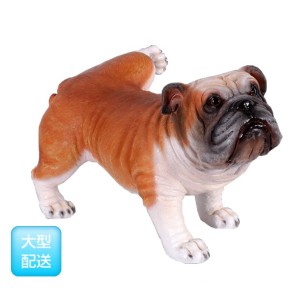 FRP　マーキングするブルドッグ / Peeing Bulldog　  fr130084  『犬オブジェ　アニ