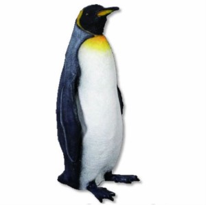 FRP　キングペンギン / King Penguin　  fr100068  『水族館オブジェ　アニマルオブジ