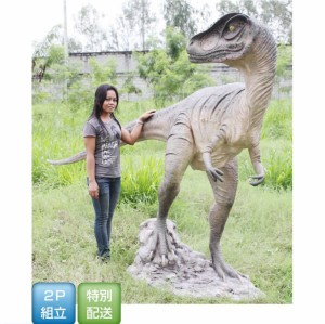 FRP　振り向くアロサウルス / Allosaurus　  fr090071  『恐竜オブジェ　博物館オブジェ