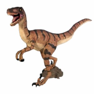 FRP　ヴェロキラプトル / Velociraptor　  fr110015  『恐竜オブジェ　博物館オブジェ