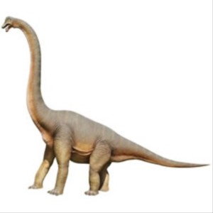 FRP　立ち向かうブラキオサウルス / Brachiosaurus　  fr100055  『恐竜オブジェ　博