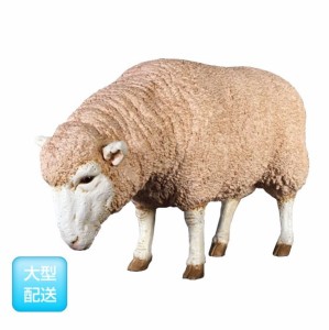 FRP　メリノ種のひつじ / Merino Ewe　  fr020409  『動物園オブジェ　アニマルオブジェ