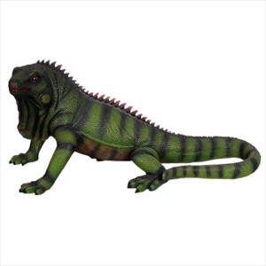 FRP　イグアナ（大） / Iguana　  fr120080  『爬虫類オブジェ　動物オブジェ　店舗・イベン