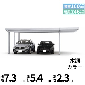 全国配送 YKK YKKAP ジーポート Pro 3000タイプ カーポート 2台用 横材なし 明かり取りなし