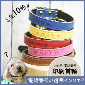 メール便 送料無料 犬 首輪 名入れ 迷子札 小型犬 中型犬 SS S M 印刷 ポップカラーのかわいい首輪