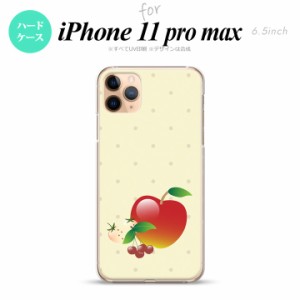 iPhone11ProMax iPhone11pro max スマホケース ハードケース フルーツ アップル 赤 メンズ レディース nk-i11pm-651