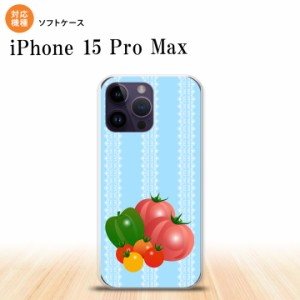 iPhone15 Pro Max iPhone15 Pro Max スマホケース 背面ケースソフトケース ベジタブル トマト 青 2023年 9月発売 nk-i15pm-tp666