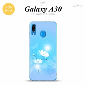 SCV43 Galaxy A30 SCV43 スマホケース ソフト カバー コスモス 水色 nk-scv43-tp607