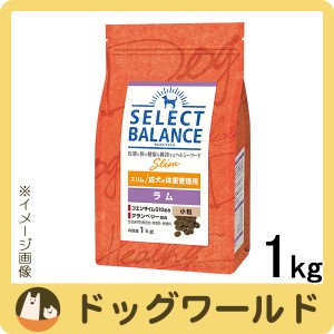 セレクトバランス スリム ラム 小粒 成犬の体重管理 ドライ 1kg