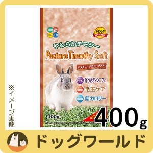 ハイペット パスチャーチモシーソフト 400g