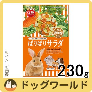 マルカン ぱりぱりサラダ 230g