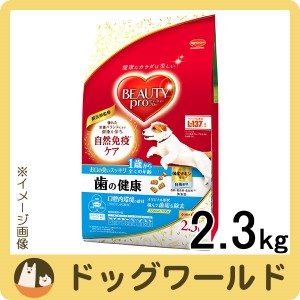 ビューティープロ ドッグ 歯の健康 1歳から 2.3kg