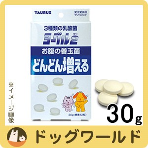 トーラス ヨーグル2 善玉菌 30g