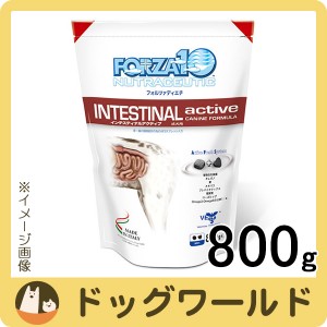 フォルツァディエチ（FORZA10） ドッグフード インテスティナル アクティブ 小粒 800g［ポイント10倍］