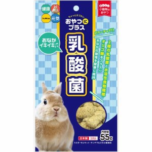 うさぎ モルモット チンチラ等の小動物用おやつハイペット おやつにプラス乳酸菌55g