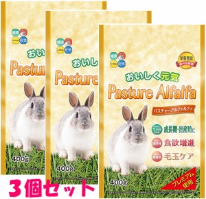 【まとめ買いお徳用】[ハイペット]パスチャーアルファルファ400ｇ×３個セット