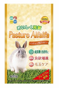 [ハイペット]パスチャーアルファルファ400ｇ