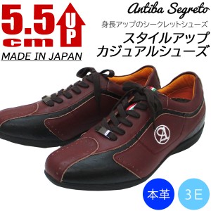 ANTIBA アンティバ 日本製 牛革 カジュアルシューズ 靴 3E  スタイルアップ AN4522 (13) ワイン サイズ選択