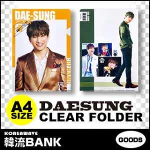 【送料無料・速達・代引不可】 DAESUNG (D-LITE) BIGBANG (ビッグバン) クリア フォルダー / ファイル (Clear Folder / File) [A4 SIZE]