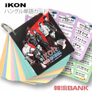 【送料無料・速達・代引不可】 iKON (アイコン) グッズ - 韓国語 単語 カード セット (Korean Word Card) [63ピース] 7cm x 8cm SIZE