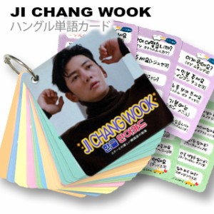 【送料無料・速達】 チ・チャンウク (JI CHANG WOOK) グッズ - 韓国語 単語 カード セット (Korean Word Card) [63ピース] 7cm x 8cm SIZ