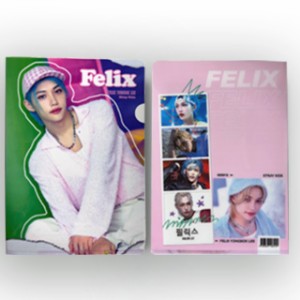 【送料無料・速達】フィリックス Felix (Stray Kids / ストレイキッズ) クリア フォルダー / ファイル (Clear Folder / File) [A4 SIZE] 