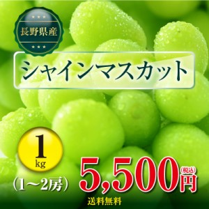 長野県産 シャインマスカット1kg（1～2房） 種無し 皮ごと 数量限定 予約商品 産地直送 クール便 ぶどうの通販はau PAY マーケット - 一冨士 au PAY マーケット店｜商品