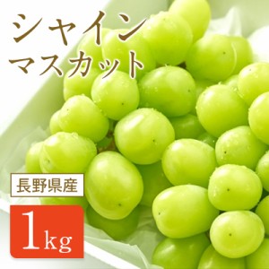 ご予約商品 長野県産 シャインマスカット1kg(1〜2房) 種無し 皮ごと 数量限定 予約商品 産地直送 クール便 ぶどう