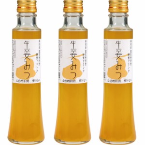 生姜みつ200ml ×3本 送料無料 はちみつ 蜂蜜 お取り寄せグルメ 上品 生姜 しょうが ジンジャエール 高知県産 