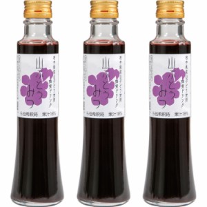 山ぶどうみつ200ml ×3本 送料無料 はちみつ 蜂蜜 山ぶどう 山葡萄 お取り寄せグルメ 山ぶどう果汁 ぶどう果汁 ビタミンC 上品 ハニード