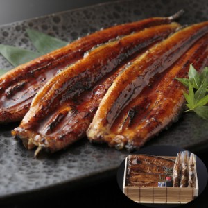 浜名湖うなぎ 蒲焼セット ウナギ 鰻 お取り寄せグルメ 送料無料 御祝 内祝い 結婚祝い 出産祝い 快気祝い 贈り物 母の日 父の日 食べ物 