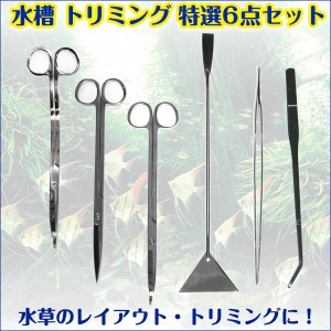 水草 トリミング 6点 セット ハサミ ピンセット ADA 水槽 水草 カット レイアウト フラッター ペット 用品 アクアリウム ビオトープ 苔