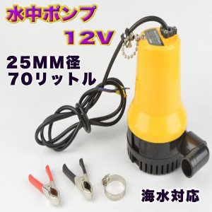 電動 水中ポンプ 海水 対応 小型 軽量 70リットル 25mm 径 給排水 耐海水性 ボート ビルジポンプ 建設機械 農業 排水 送水 清水 12V