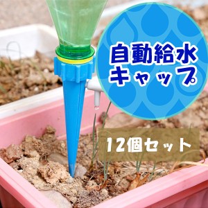 自動給水キャップ 12個セット じょうろ ペットボトル 自動水やり器 水やり当番 自動給水器 自動散水 ガーデニング 園芸 花壇 植物 花 盆