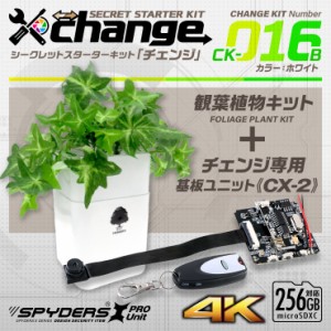 スパイダーズX change 観葉植物 ホワイト シークレットキット 防犯カメラ 4K スパイカメラ CK-016B