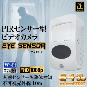匠ブランド 小型ビデオカメラ PIRセンサー型 高画質 スパイカメラ 赤外線暗視補正 写真撮影 Eye Sensor アイセンサー TK-PIR-01