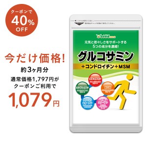 【クーポンで40％OFF】2型コラーゲン配合 グルコサミン コンドロイチン MSM 約3ヵ月分 コンドロイチン サプリメント 健康食品