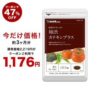 【クーポンで47％OFF】カテキン入り柿渋カプセル 約3ヵ月分 エチケット サプリメント 健康食品