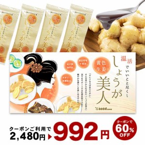 【クーポンで60％OFF】長崎県産 しょうが美人 ペースト状 1箱31包入り 生姜 化学調味料 着色料 保存料 香料 全て不使用 健康食品