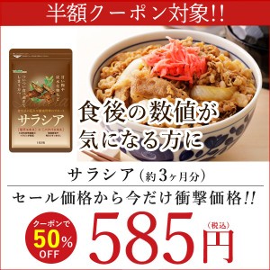 【半額クーポン対象】サラシア 約3ヵ月分 サプリメント 炭水化物 ダイエット 菊芋 健康食品