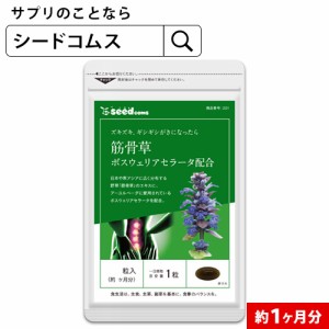 クーポン配布中　筋骨草＋ボスウェリアセラータ　約1ヵ月分 サプリメント メール便送料無料 健康食品