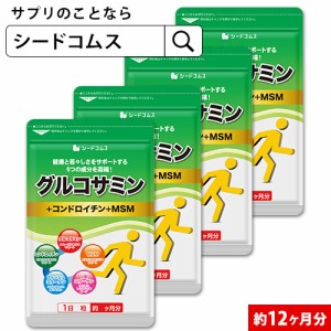 クーポン配布中　2型コラーゲン配合 グルコサミン コンドロイチン 約12ヵ月分 コンドロイチン 健康食品