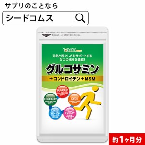 クーポン配布中　2型コラーゲン配合 グルコサミン コンドロイチン MSM 約1ヵ月分 コンドロイチン 健康食品