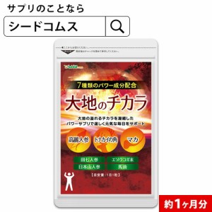 クーポン配布中　大地のチカラ 約1ヵ月分 メール便送料無料 マカ 男性 健康食品