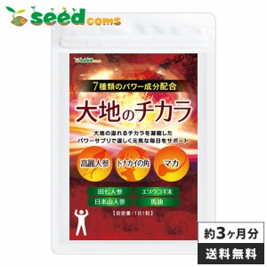 マカ 高麗人参 田七人参 大地のチカラ 約3ヵ月分 サプリ サプリメント トナカイの角 power 健康食品 