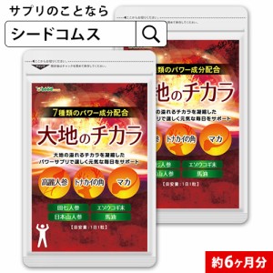 クーポン配布中　マカ 高麗人参 田七人参 大地のチカラ 約6ヵ月分 マカ 高麗人参 健康食品