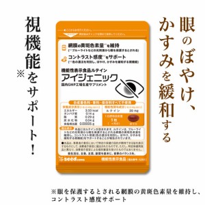 ルテイン 機能性表示食品 アイジェニック 約1ヵ月分 DHA EPA イチョウ葉 サプリメント